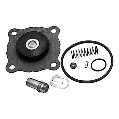 Picture of Repair Kit for Asco Part# 172827