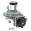 Picture of Gas Regulator