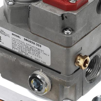 Picture of Gas Control Valve for Groen Part# Z002649S