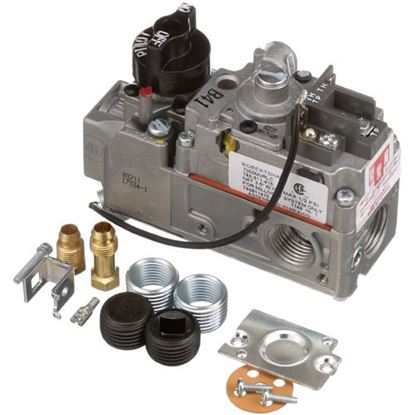 Picture of Gas Control Valve for Wells Part# WS-65307