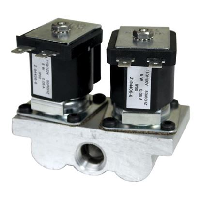 Picture of  Dual Solenoid Valve for Magikitch'n Part# 60142001
