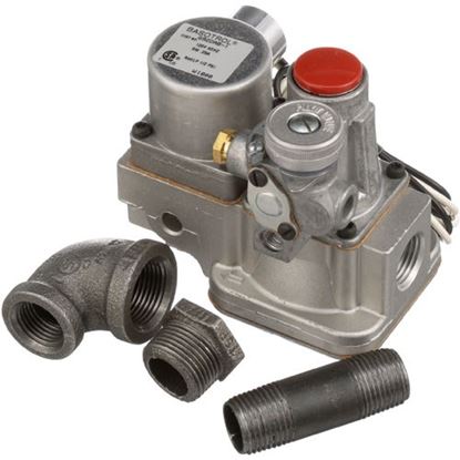 Picture of Valve for Baso Part# G92DAB-1