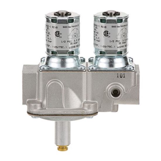 Picture of Dual Gas Solenoid Valve for Baso Part# G96HGK-1C