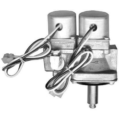 Picture of  Dual Gas Solenoid Valve for Garland Part# 1754901