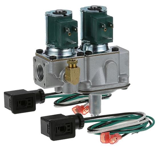 Picture of Dual Gas Solenoid Valve for Johnson Controls Part# G96HGH-5