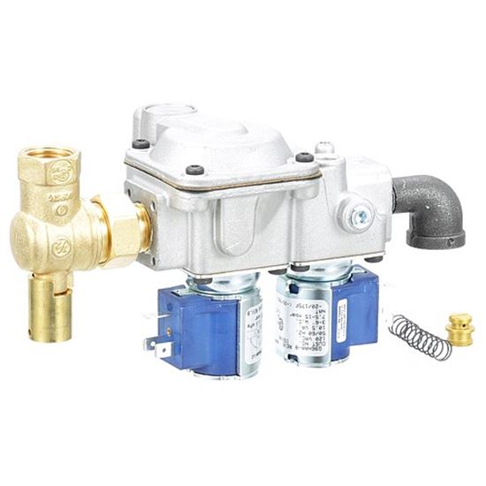 Picture of Dual Solenoid Valve for Johnson Controls Part# G96HAA-8