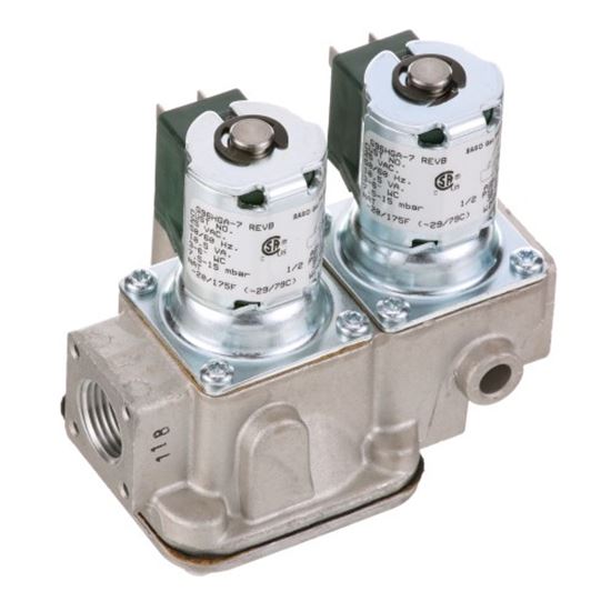 Picture of Gas Valve for Baso Part# G96HGA-7C