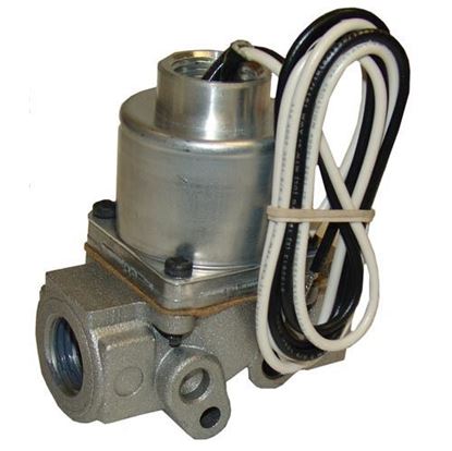 Picture of  Valve, Solenoid - Gas for Cleveland Part# 2345700