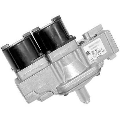 Valve, Dual Gas for Baso Part# G196NGH-1C