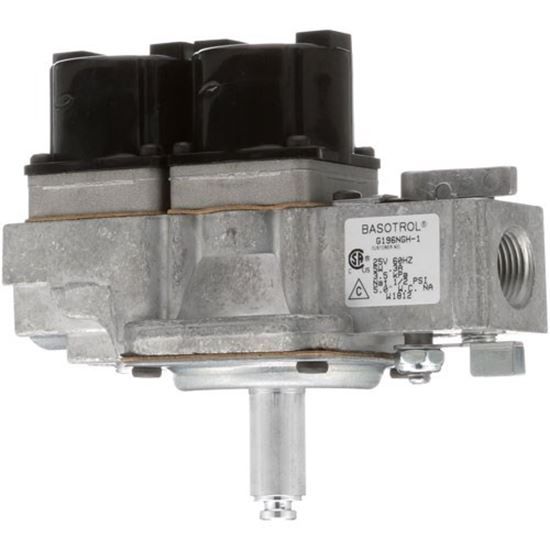 Picture of Valve, Dual Gas for Baso Part# G196NGH-1C