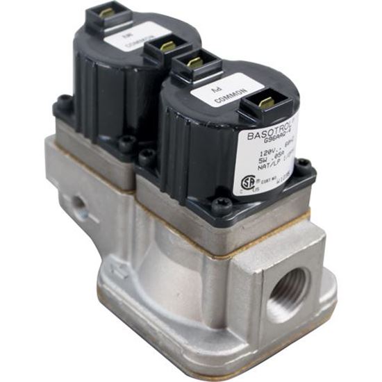 Picture of  Dual Solenoid Valve for Baso Part# G96AAQ-4