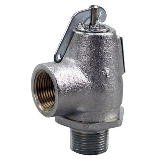 GROEN Parts Z004010 Valve Safety 30 PSI Z004010 GROEN Parts Z004010 Valve Safety 30 PSI Z004010