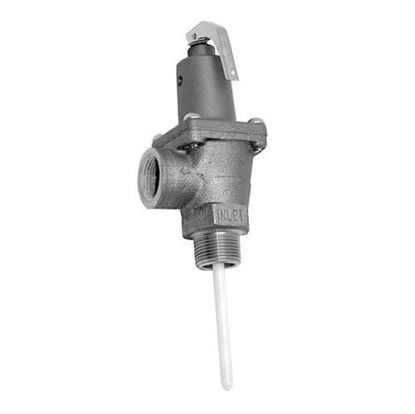Picture of  P-t Relief Valve for Watts Part# 40L-(3/4)_(125LB)