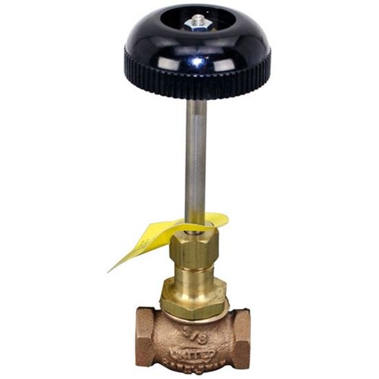 Picture of Steam Valve for Cleveland Part# 22196