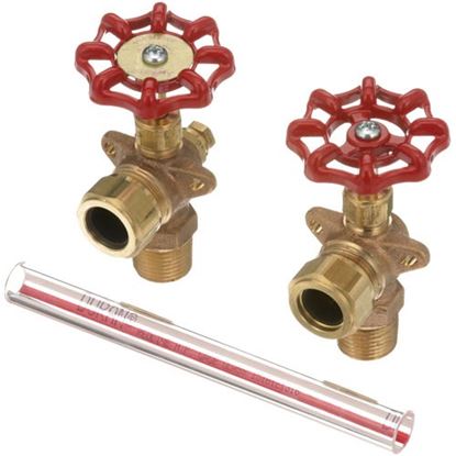 Picture of Gauge Glass Assy for Cleveland Part# 40445