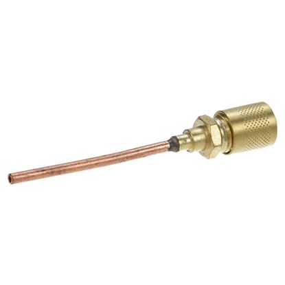 Picture of Service Valve
