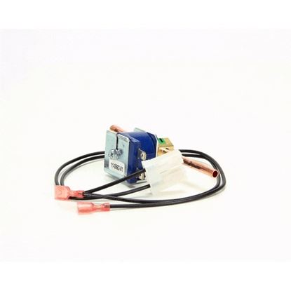 Picture of Hot Gas Valve Kit for Scotsman Part# 11056221