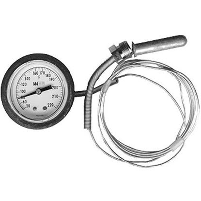 Picture of  Gauge, Temperature - for Jackson Part# 169100