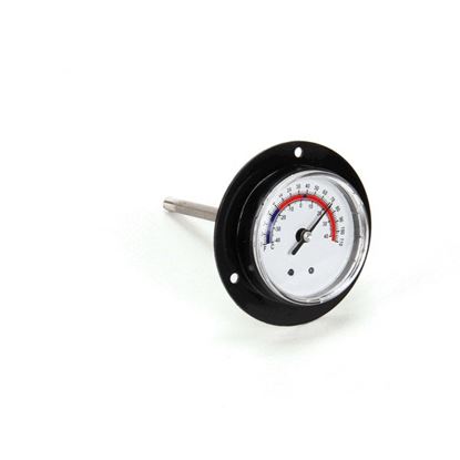 Picture of Thermometer for Randell Part# HD THR9901