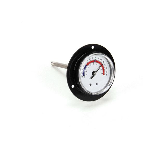 Picture of Thermometer for Randell Part# HD THR9901