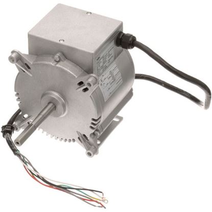 Picture of Motor (2 Speed) for Blodgett Part# 15400