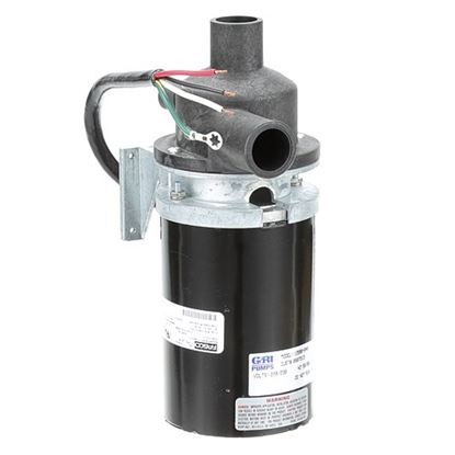 Picture of Wash Pump Motor for Champion Part# 507313