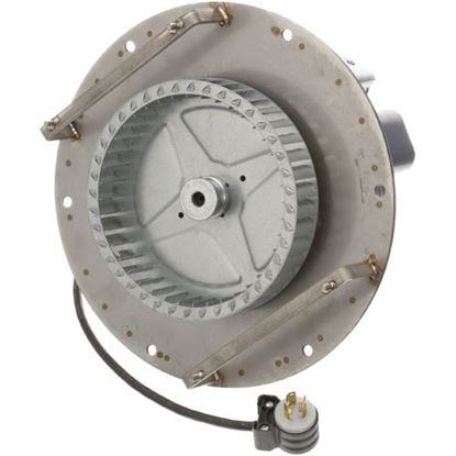 Picture of Motor for Jade Range Part# 3098701V