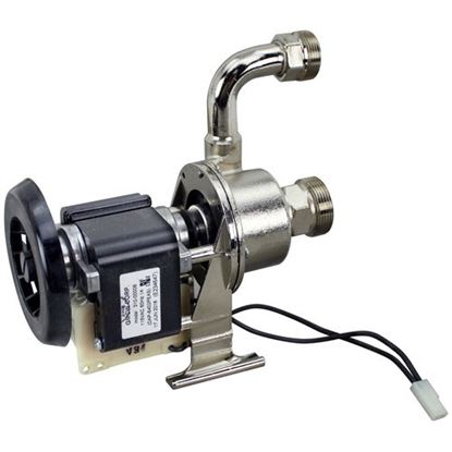 Picture of Water Pump for Cecilware Part# 310-00006