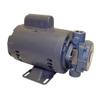 Picture of  Filter Pump Motor for Henny Penny Part# 17439
