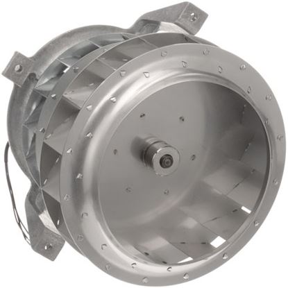 Picture of Motor Assembly for Garland Part# 3044300