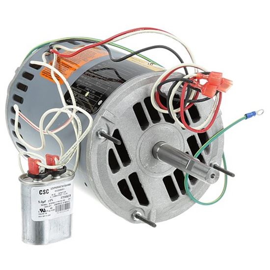 Picture of Motor for Wells Part# WS-63932