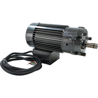 Picture of  Gear Motor for Champion Part# 113732
