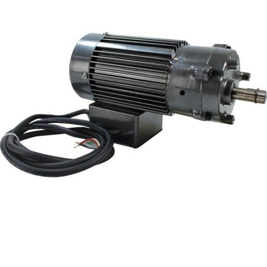 Picture of Gear Motor for Champion Part# 113732