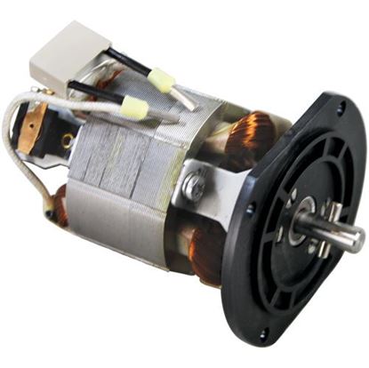 Picture of Motor And Screw for Dynamic Mixer Part# 9507.1