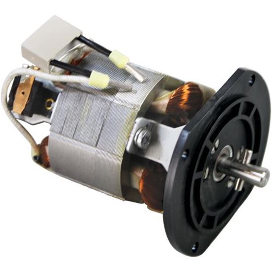 Picture of Motor And Screw for Dynamic Mixer Part# 9507.1