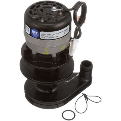 Picture of Water Pump - 115v for Manitowoc Part# 2008929
