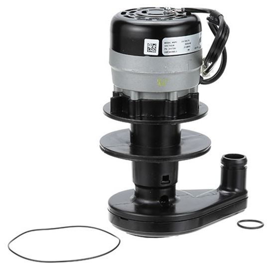 Picture of Water Pump - 230v for Manitowoc Part# 2007389