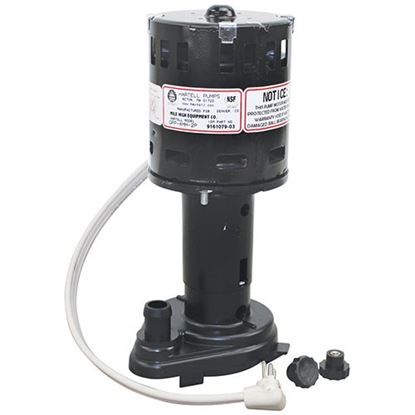 Picture of Water Pump - 230v for Ice-O-matic Part# 9161079-03