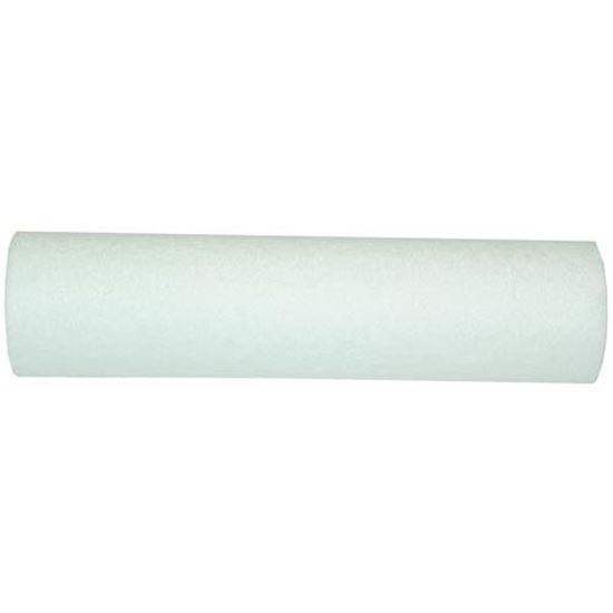 Picture of  Cartridge, Water Filter for Manitowoc Part# K00173