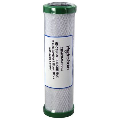 Picture of  Replacement Filter - Hs for Watts Part# CBMX-CP1S-RF