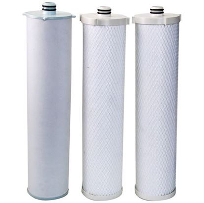 Picture of Cartridge Kit - Cb20-312 for Everpure Part# EV910534