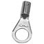 Picture of Ring Terminal (bx 100)