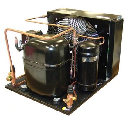 Fractional Hp Cond. Unit for Danfoss Part# 114N2027