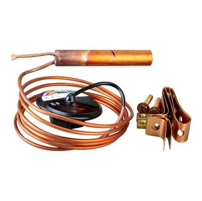 Picture of Power Element for Parker Hannifin Part# 180399P