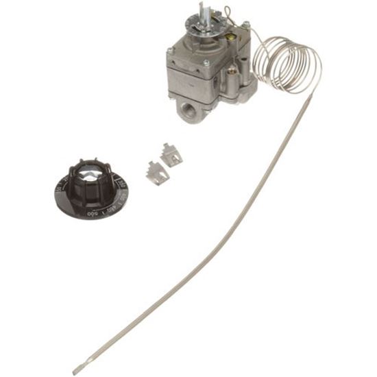 Picture of Thermostat Kit for Montague Part# 3395-2