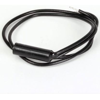 Picture of Spst Reed Switch for Alto Shaam Part# SW-33559