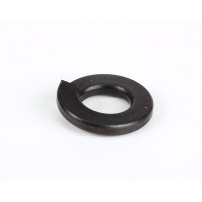 Picture of Lock Washer 1/4 for Southbend Part# 1146500