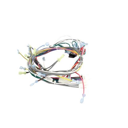 Picture of 120V Gas Cch Harness for Southbend Part# 1180482