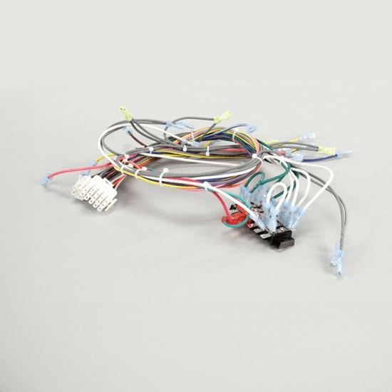 Picture of 120V Gas Cch Harness for Southbend Part# 1180482