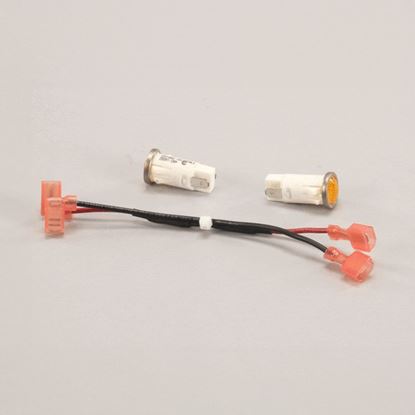 Picture of 480V Signal Light Assy for Southbend Part# 37046